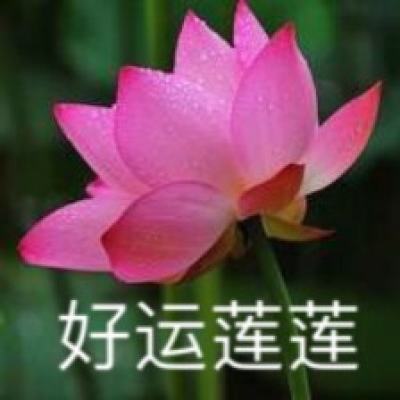兵马俑官方版下载